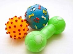 Brinquedos e Estimulação Mental para Pets Brinquedos para Pets