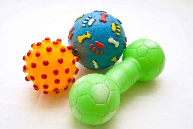 Brinquedos para Pets